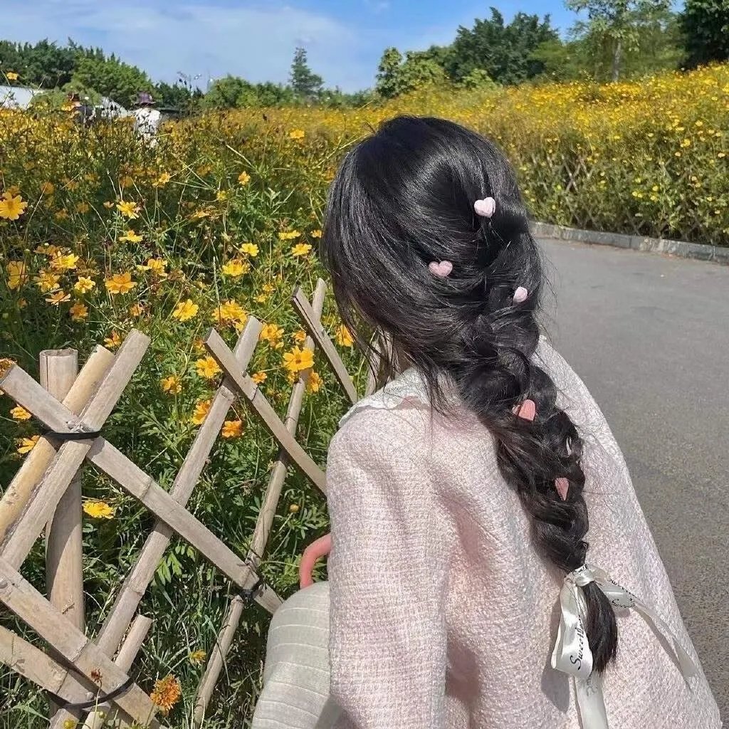 小菊的春天